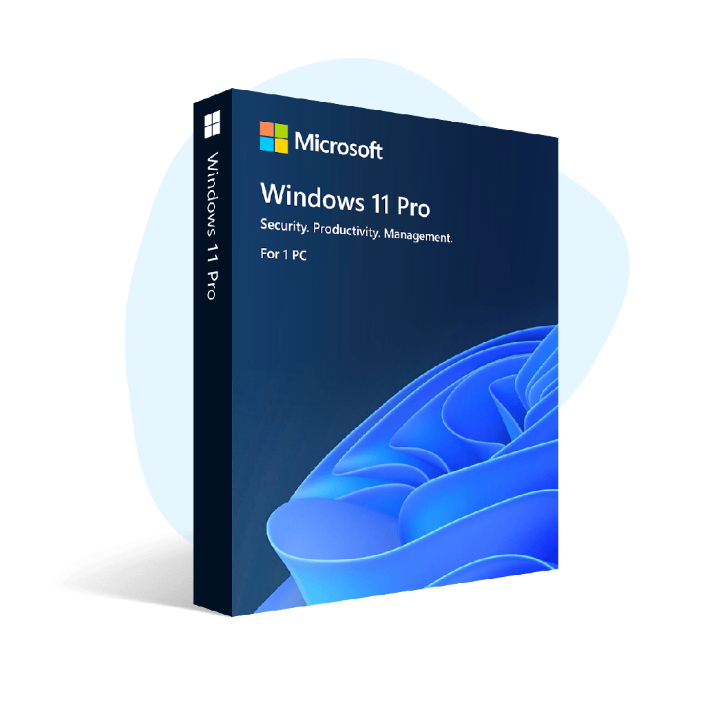 Windows 11 Pro