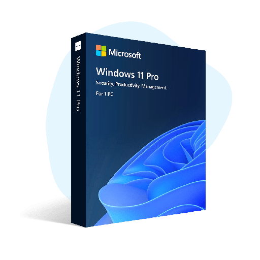 Windows 11 Pro